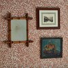 217186--William-Morris-Emerys-Willow-Chrysanthemum-Pink-Interior