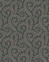 2257_Wild-Fernes_CroppedImage