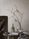 2276_HiddenParrot-1_Roomshot