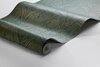 2277_Hidden_Parrot_WaveImage