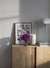 Arvid Beige