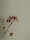 4335_Soft_Olive-6_Roomshot_DiningArea