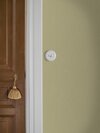 4348_FreshOlive_Roomshot_3