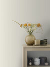 7564_Vanilla_Roomshot_3