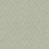 7772_LittleFern_Closeup