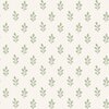 7776_LittleOak_Closeup