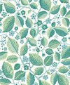 7784_ElmTree_Closeup