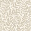 7789_Ferns_Closeup