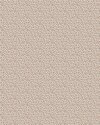 8182_Ida_CroppedImage
