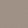 8183_Ida_Closeup