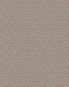 8183_Ida_CroppedImage