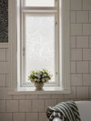 C1353501_AcanthusWindowFilm92x61cm_Roomshot_1