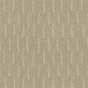 COLESLAW-BEIGE-1