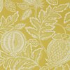 DCPW216762-Sanderson-CANTALOUPE-Caraway-Caspian