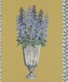 Delphinium27-67_Mustard