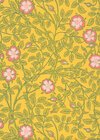 Briar Rose Indian Yellow