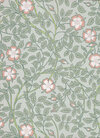 LG_NTIII_Briar-Rose_Salix-Little-Greene-0263BRSALIX