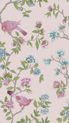 LG_NTIV_Aderyn_China-Clay