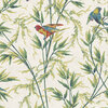 LG_NTIV_Great-Ormond-St_Tropical-1