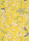 Little-Greene-Massingbird-Blossom-Yellow-0260MAYELLO