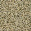 Nootka-Antique-gold-313027-Zoffany