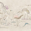 S10418_Seabirds_Sandstone_Sandberg