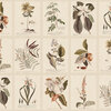 S10599_Flora_Sepia_Sandberg-Wallpaper