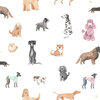 S10704_Taiga-and-Friends_White_Sandberg-Wallpaper