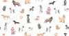 S10704_Taiga-and-Friends_White_Sandberg-Wallpaper_product-1500x778-7544a83f-add2-4f75-8361-935d38d75edc