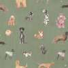 S10705_Taiga-and-Friends_Green_Sandberg-Wallpaper